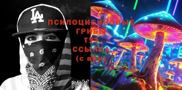 спайс Баксан