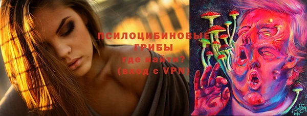 спайс Баксан