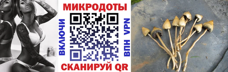 Галлюциногенные грибы Psilocybine cubensis  что такое наркотик  hydra зеркало  Бугульма 