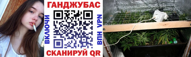 мега ссылка  Бугульма  Шишки марихуана White Widow 